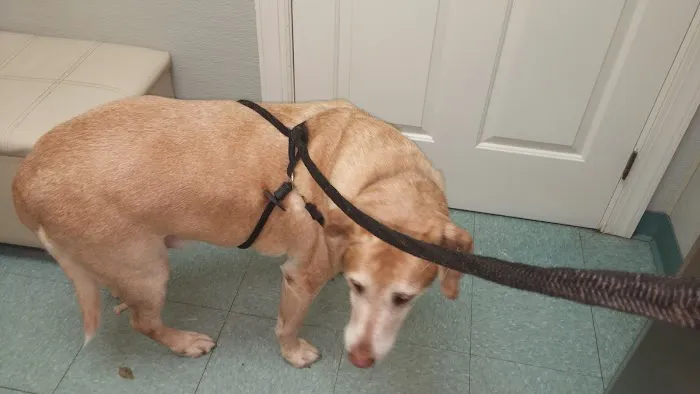 Lake Country Animal Hospital 8