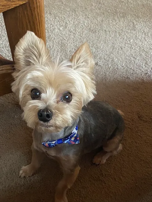 Lake Country Animal Hospital 10