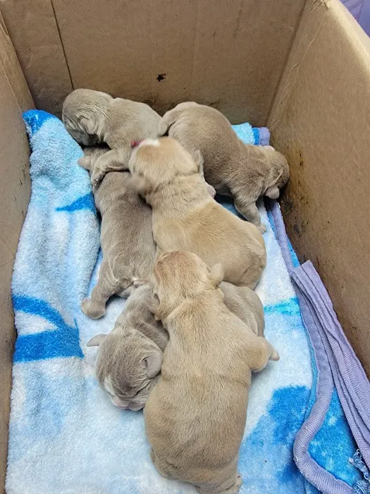 Animal Hospital of Emporia 5