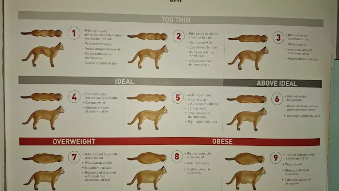 Animal Hospital of Emporia 6