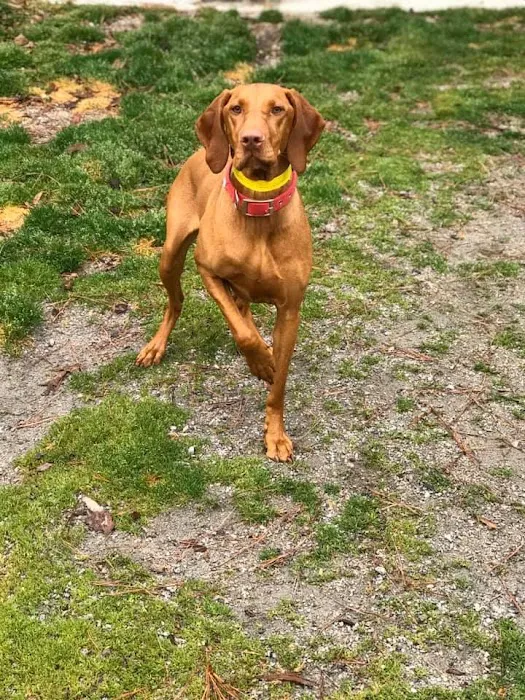 Blackstone Animal Clinic LLC 7