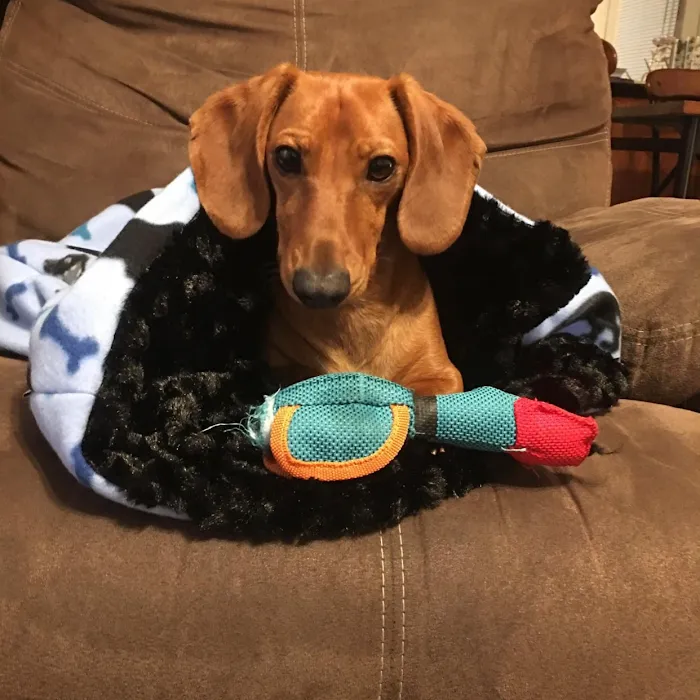 Blackstone Animal Clinic LLC 10
