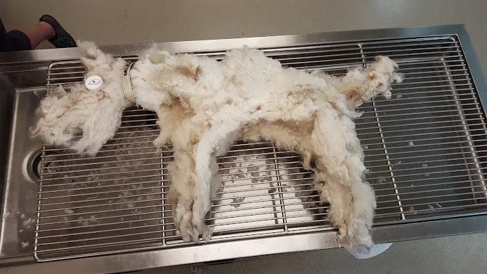 Burgaw Veterinary Hospital 4