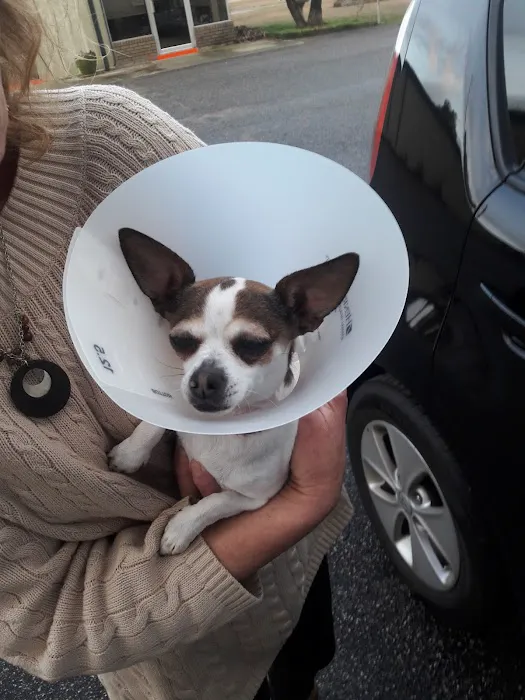 Healing Hands Animal Hospital 6