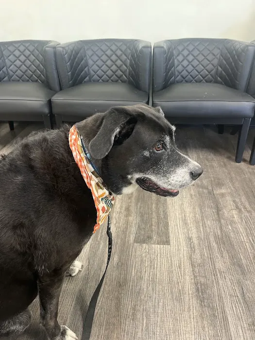 Shoreline Veterinary Hospital 4