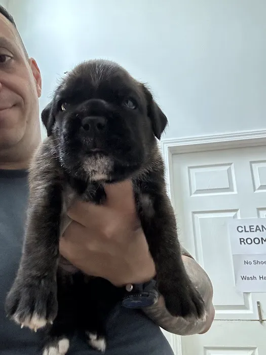 Shoreline Veterinary Hospital 7