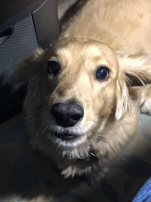 Animed Veterinary Hospital of Bell Fork 2