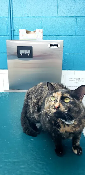 Academy Animal Hospital PA 4