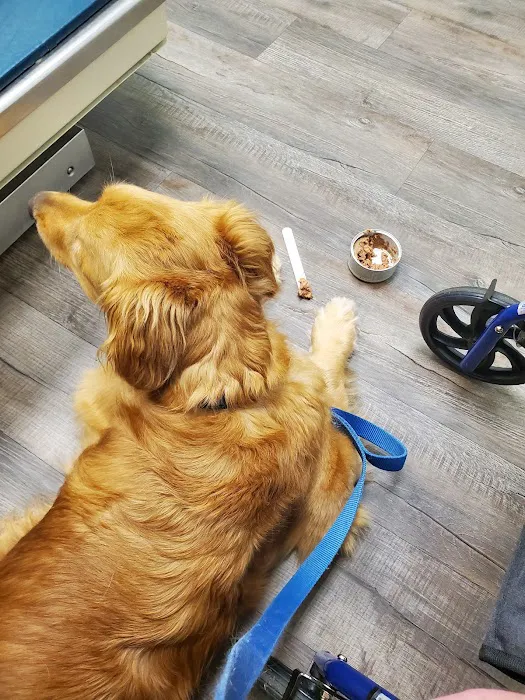 Academy Animal Hospital PA 10