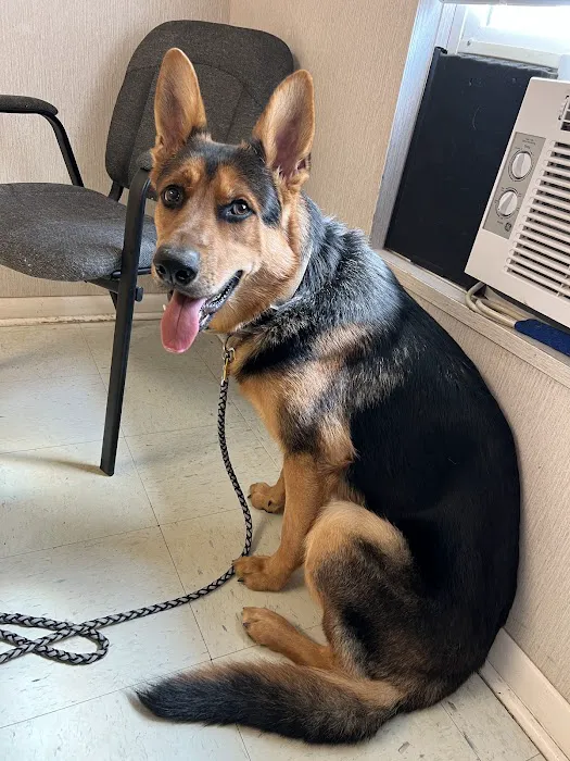 Coastal Veterinary Emergency Clinic 4