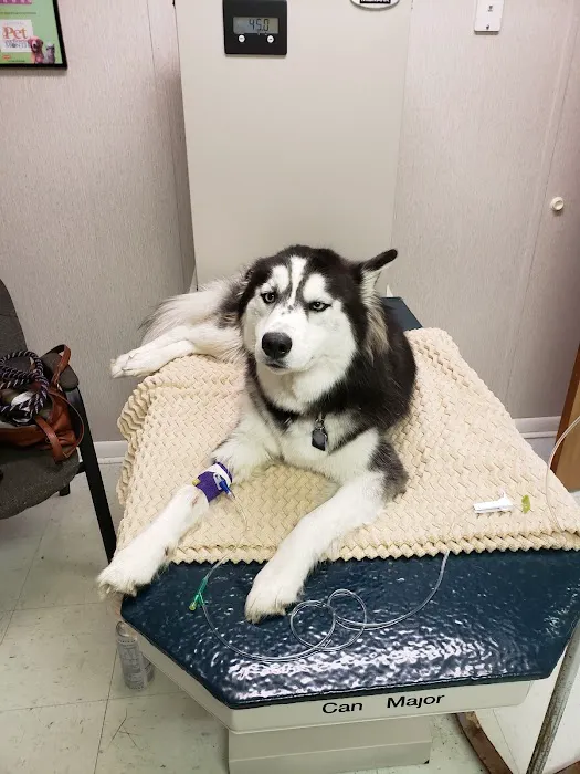 Coastal Veterinary Emergency Clinic 10