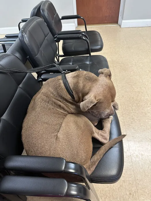 Knoxville Pet Emergency Clinic 1
