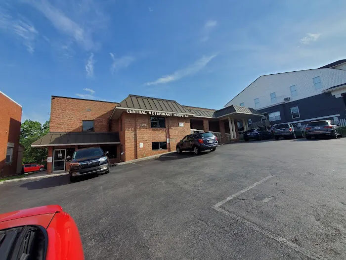 Central Veterinary Hospital 4