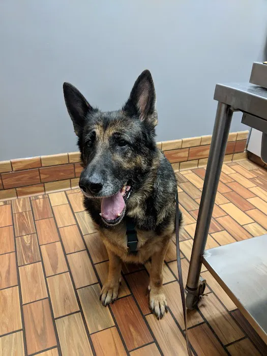 Central Veterinary Hospital 7