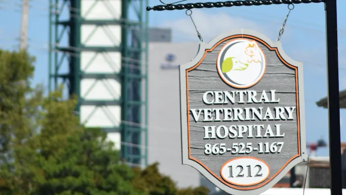 Central Veterinary Hospital 2