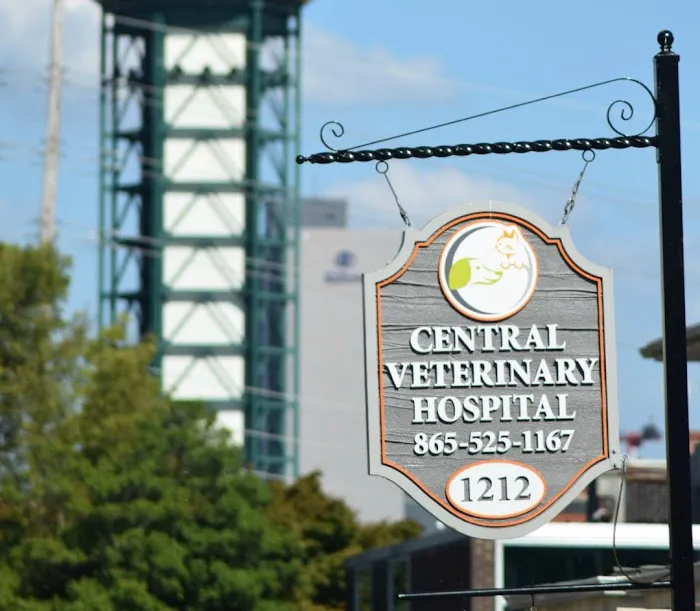 Central Veterinary Hospital 10