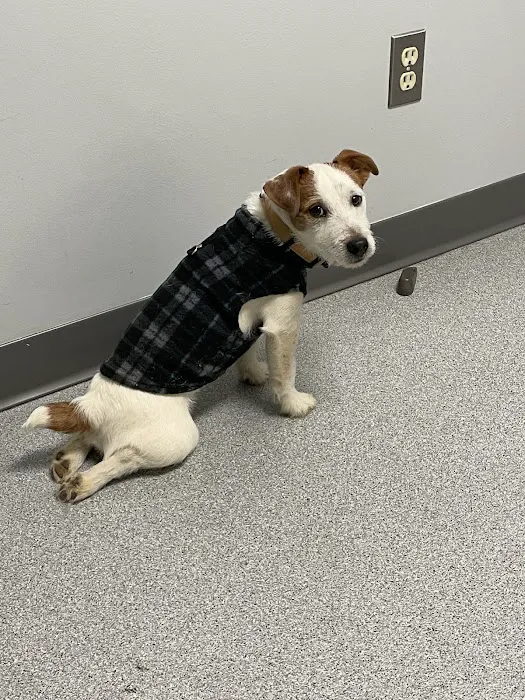 Appalachian Veterinary Hospital 6