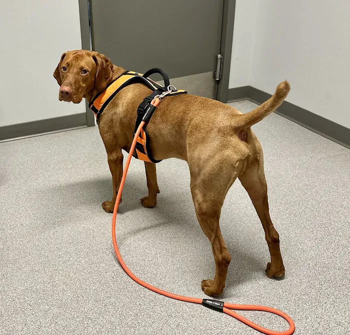 Appalachian Veterinary Hospital 8