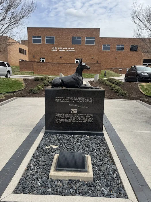 UT Veterinary Medical Center 1