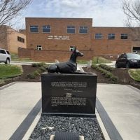 UT Veterinary Medical Center ico