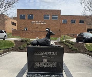 UT Veterinary Medical Center