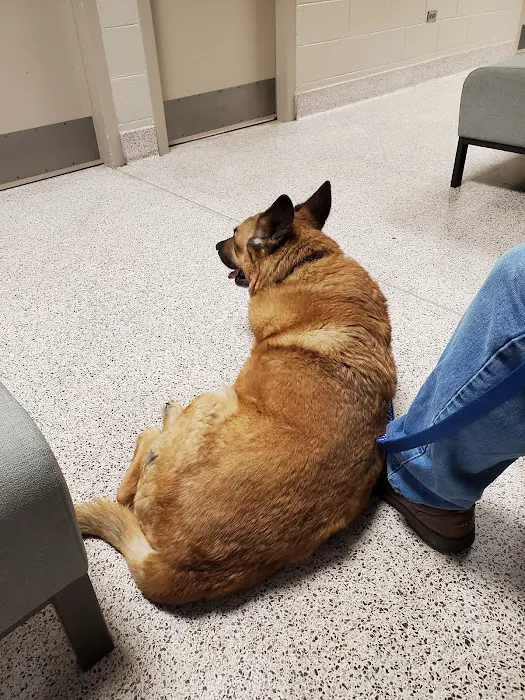UT Veterinary Medical Center 10