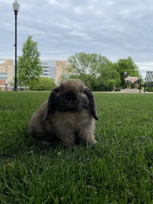 UT Veterinary Medical Center 9