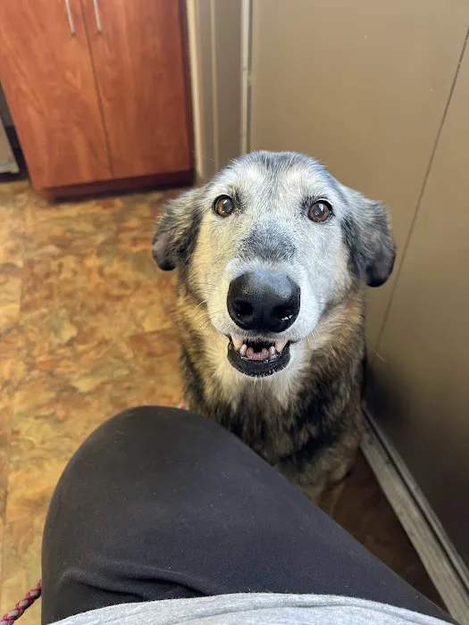 Smoky Mountain Animal Clinic 1