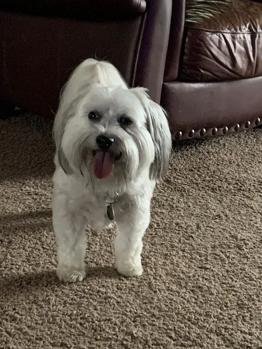 Smoky Mountain Animal Clinic 9