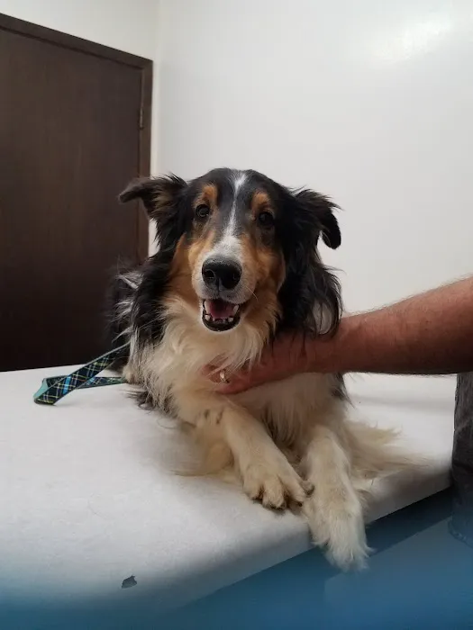 Seymour Veterinary Clinic 2