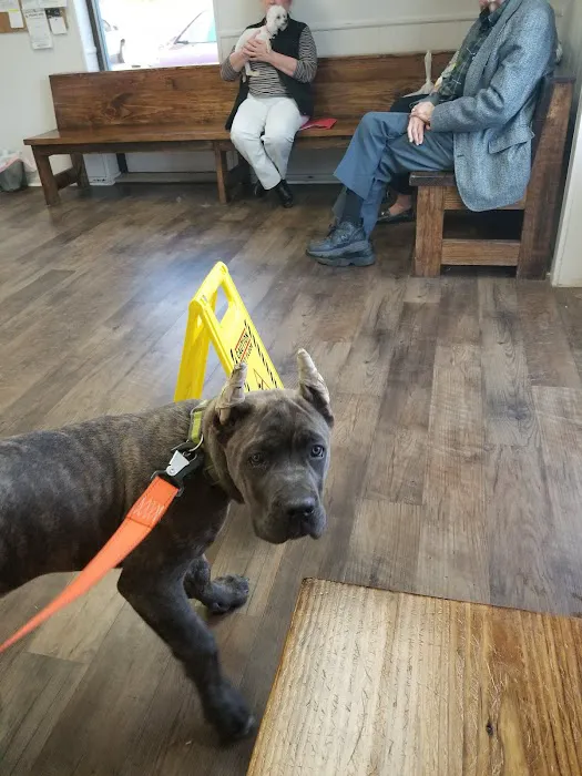 Seymour Veterinary Clinic 8