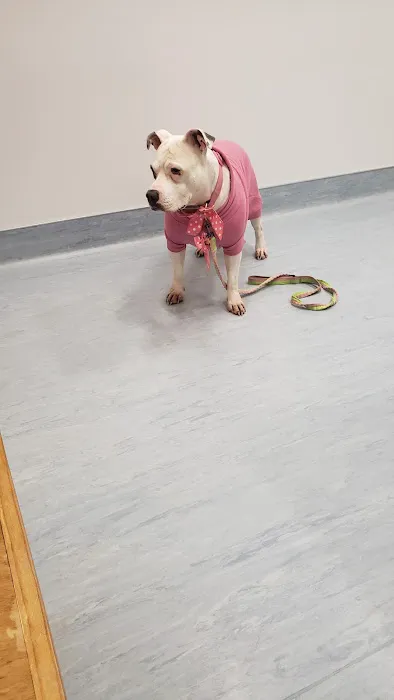 Sevier County Animal Clinic 7