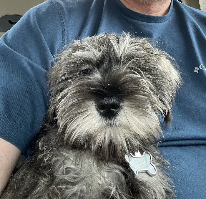 Parkway Animal Hospital 9