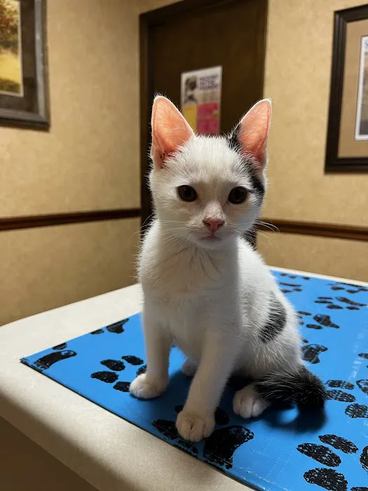 Parkway Animal Hospital 10