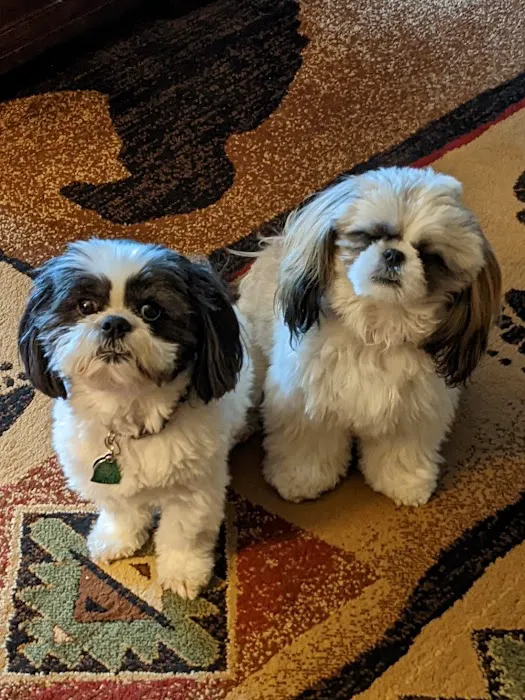 Parkway Animal Hospital 8