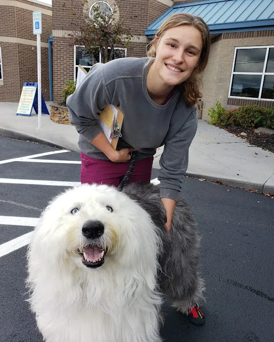 Mountain Home Veterinary Clinic 6