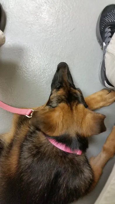 Mountain Home Veterinary Clinic 8