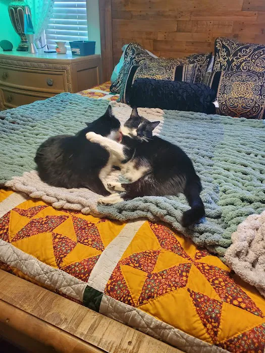 Mountain Home Veterinary Clinic 10