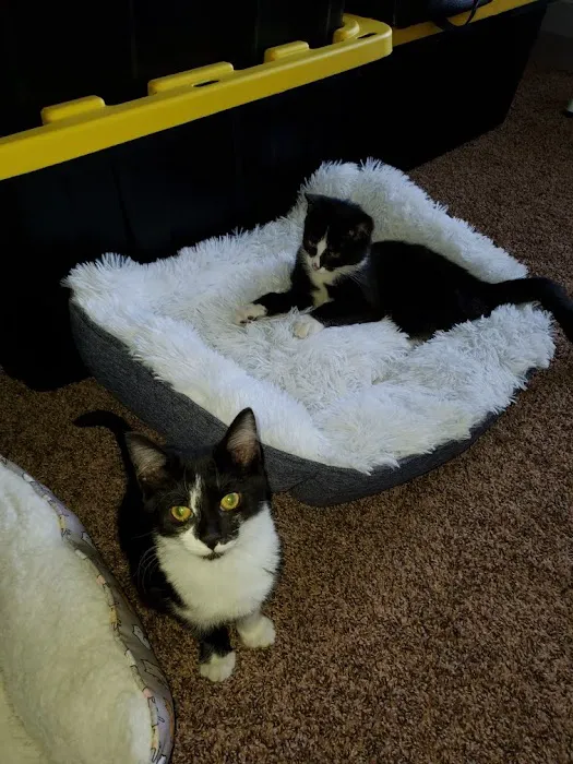 Mountain Home Veterinary Clinic 9