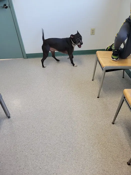 Governor John Sevier Animal Clinic 4