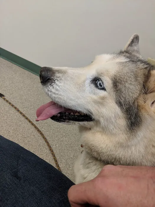 Governor John Sevier Animal Clinic 10