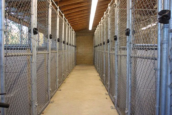 Volunteer Veterinary Hospital 10