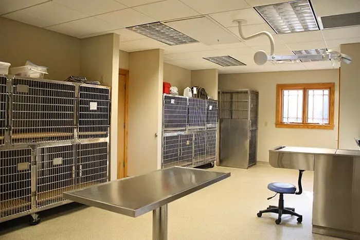 Volunteer Veterinary Hospital 5