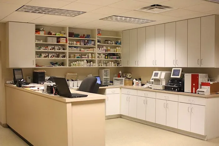 Volunteer Veterinary Hospital 9