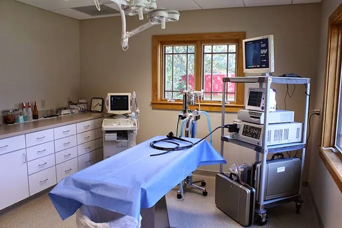 Volunteer Veterinary Hospital 7