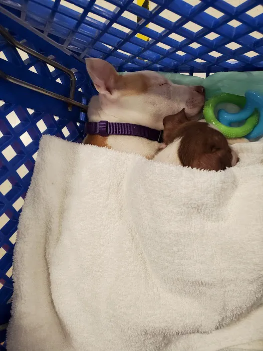 Banfield Pet Hospital 7