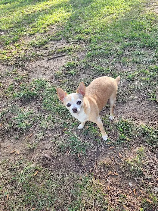 Banfield Pet Hospital 8