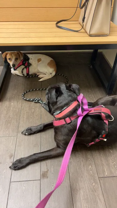 Banfield Pet Hospital 1