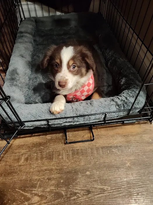 Banfield Pet Hospital 5