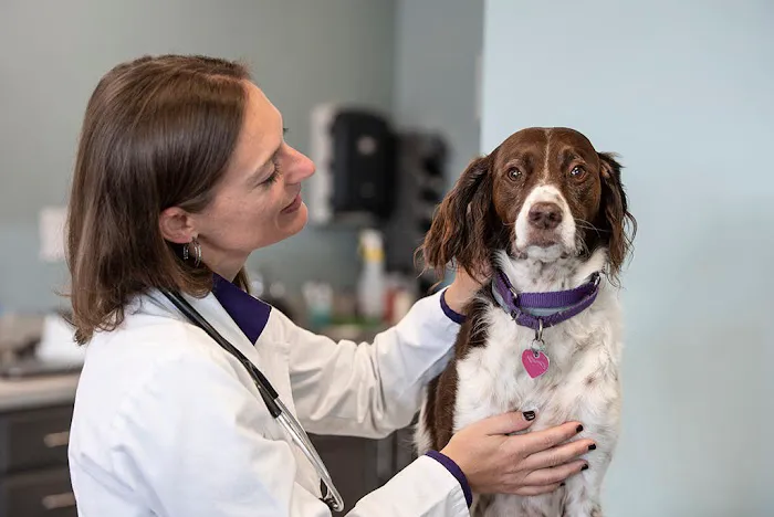 PetWellClinic - West Knoxville 6